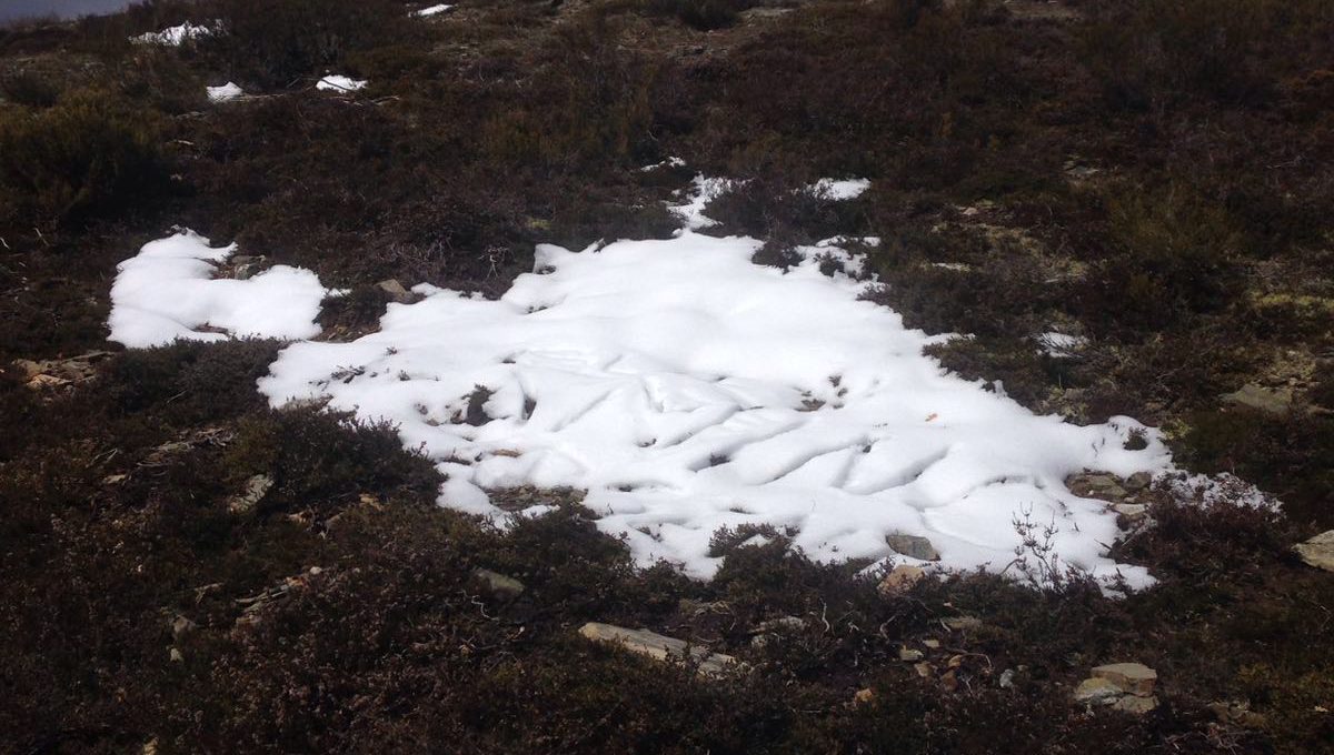 Sometimes it snows in April…