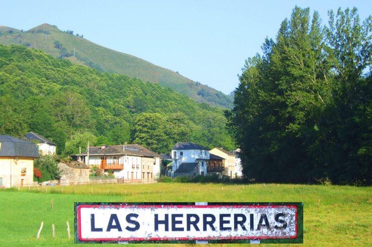 Wereldreis