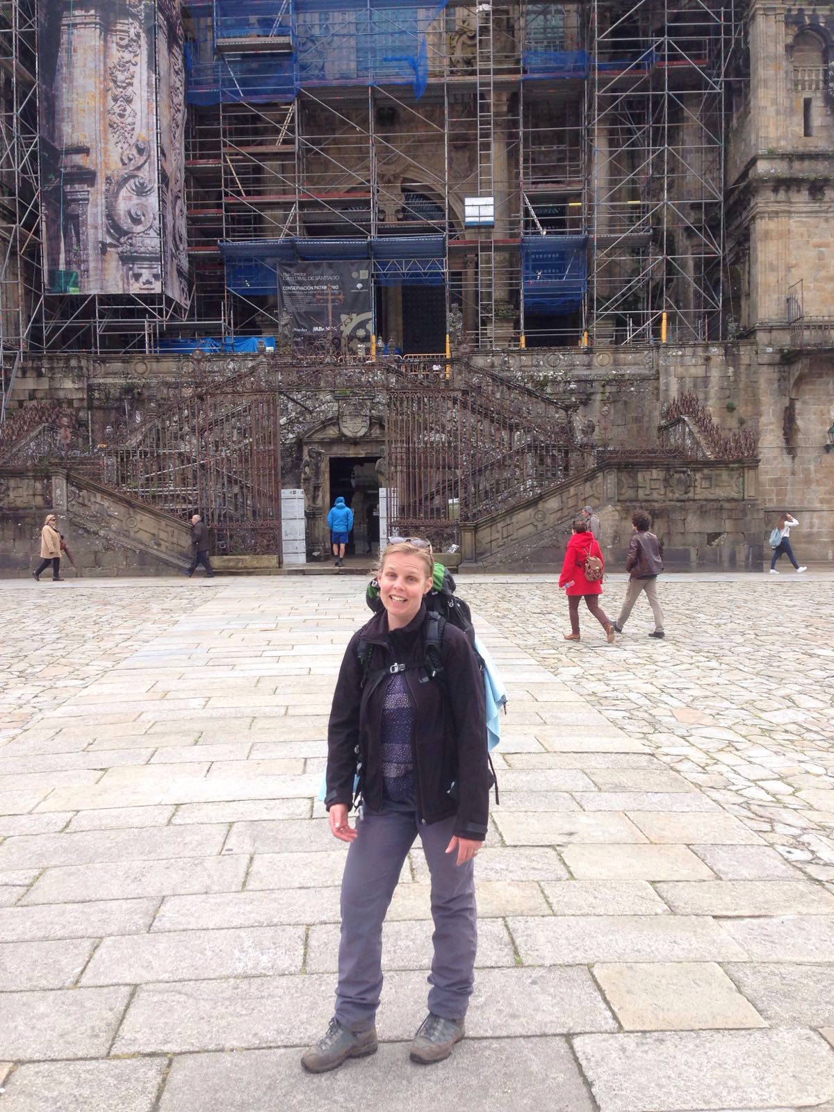 Camino Frances 2016